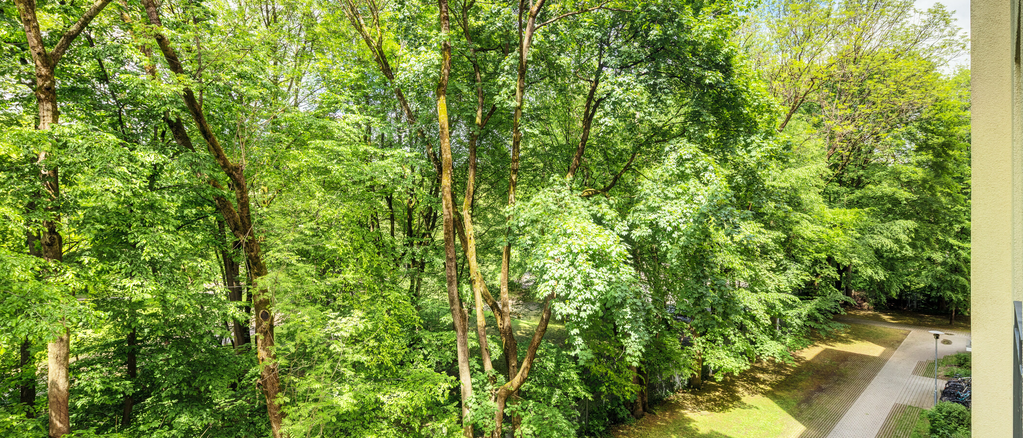 apartamento München Haidhausen 04 vista 14860