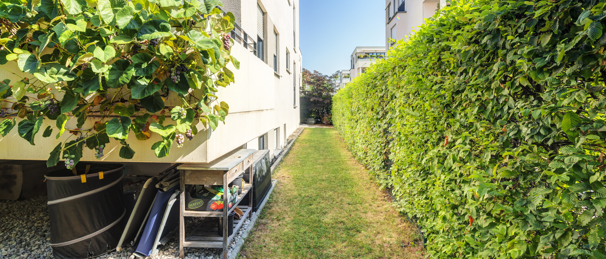 dúplex München Oberföhring 03 jardín 14969