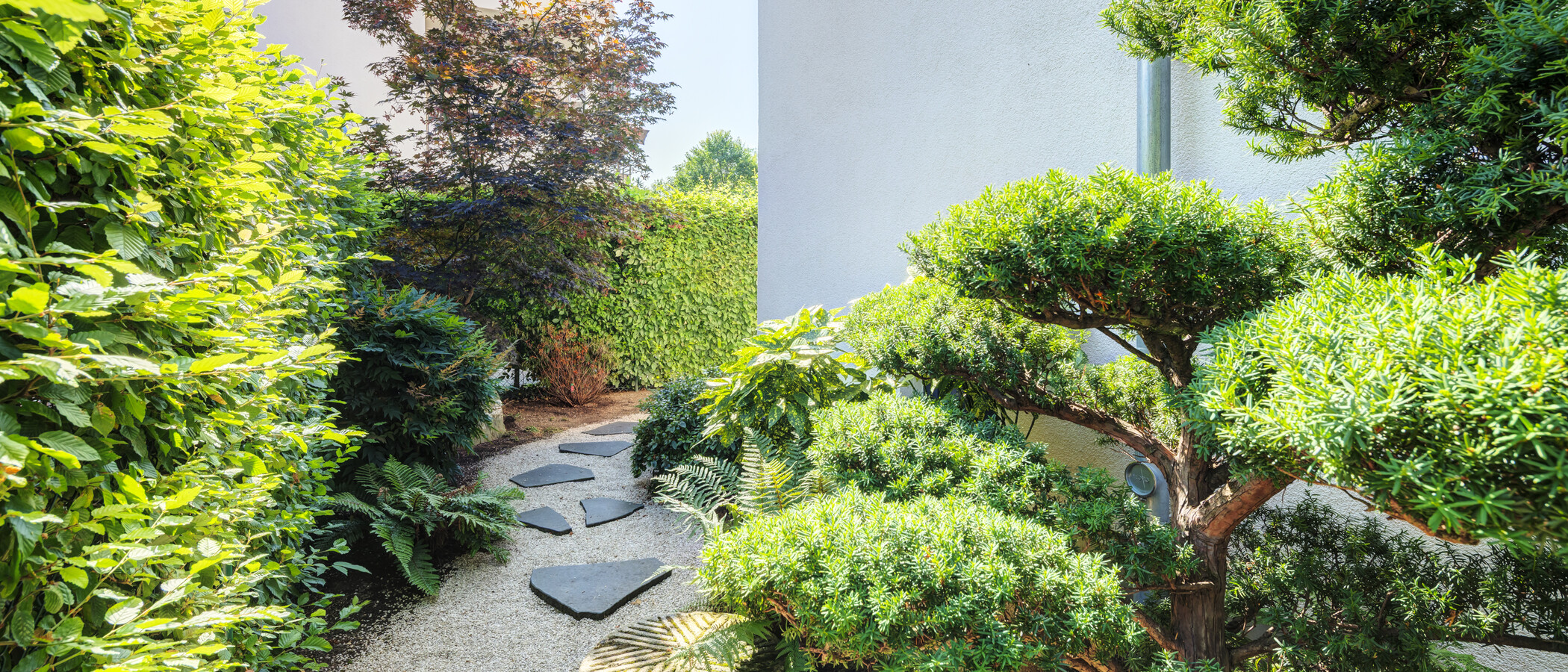 dúplex München Oberföhring 04 jardín 14969