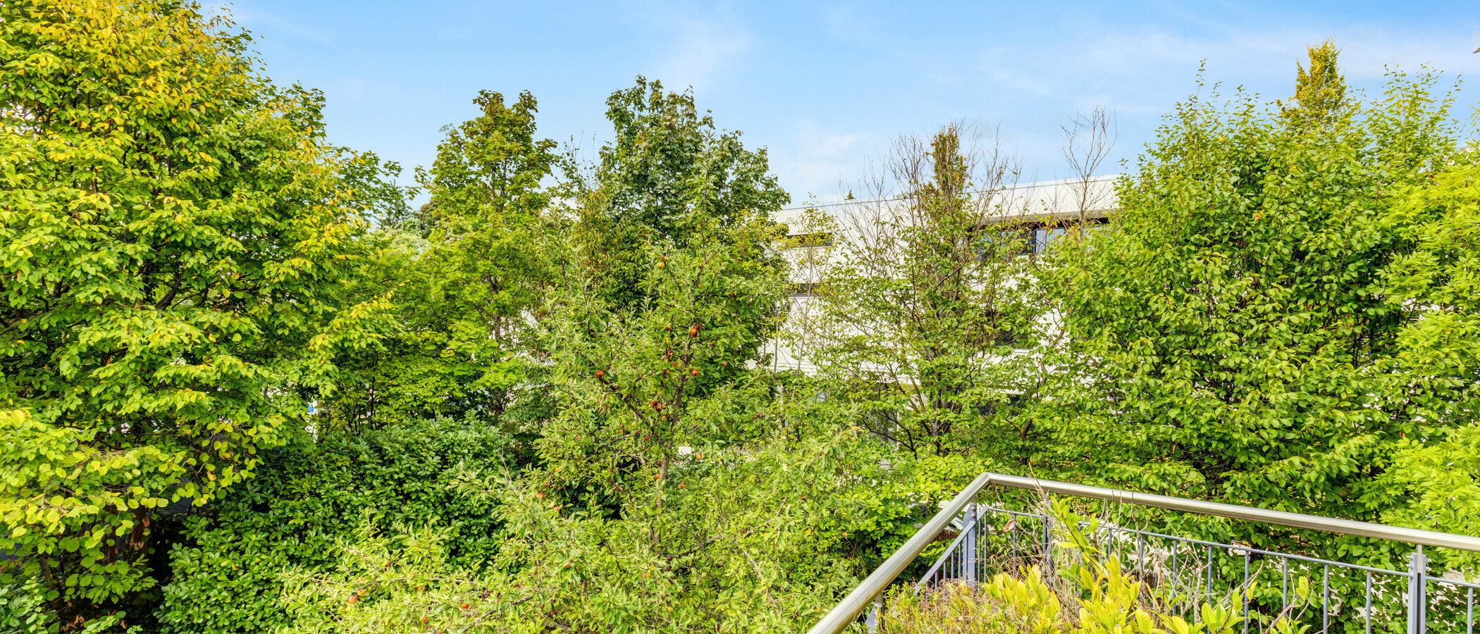 apartamento München Solln 02 vista 14998