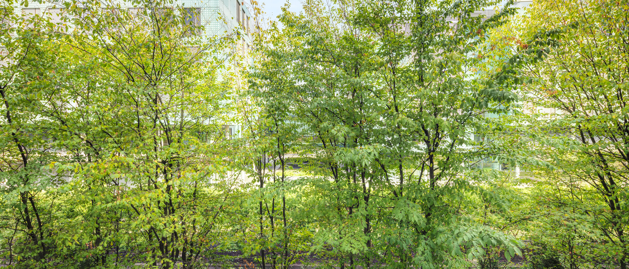 apartamento München Schwanthalerhöhe 03 vista 15032