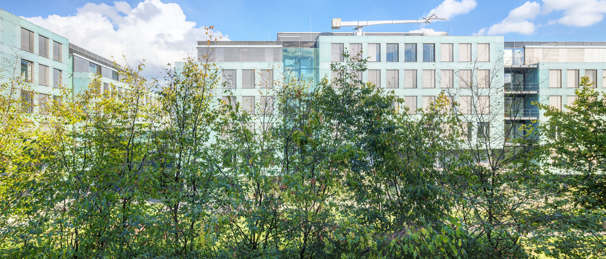 apartamento München Schwanthalerhöhe 03 vista 15033