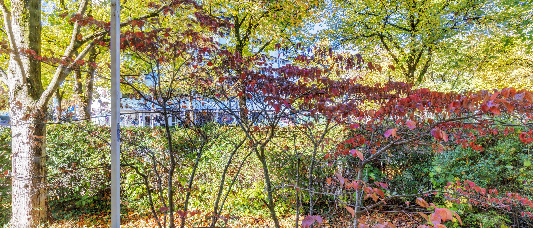 apartamento München Fürstenried 01 vista 15055
