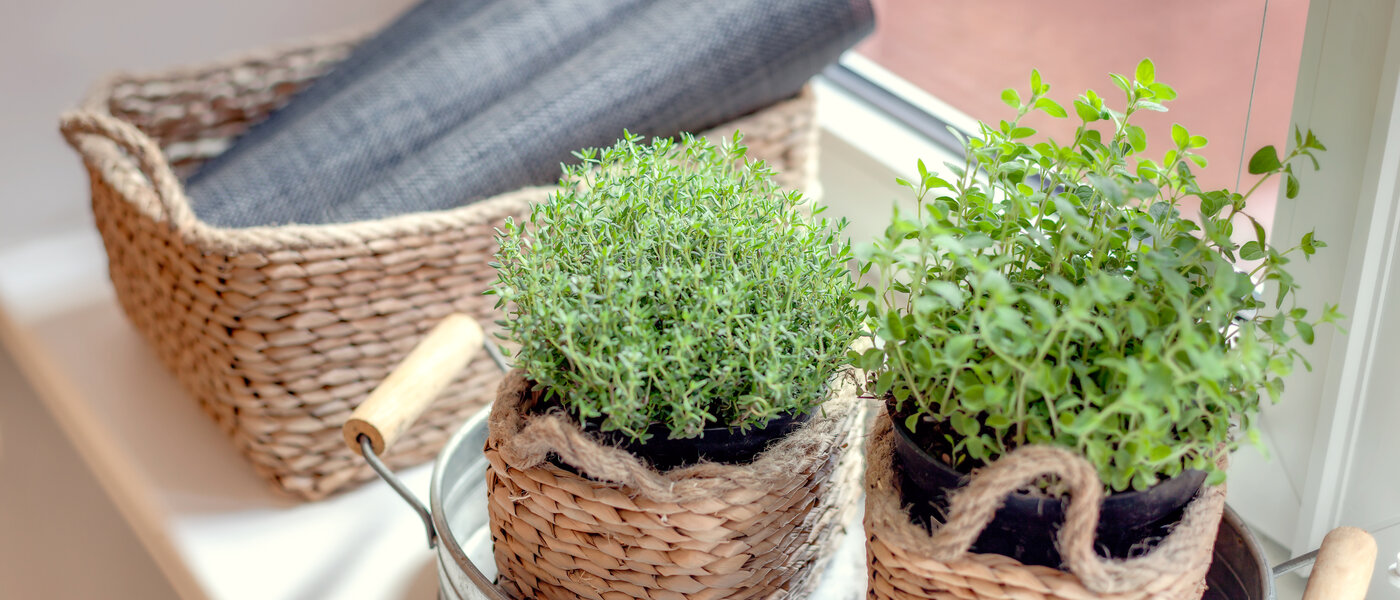 apartamento München Gärtnerplatzviertel 04 cocina 1590