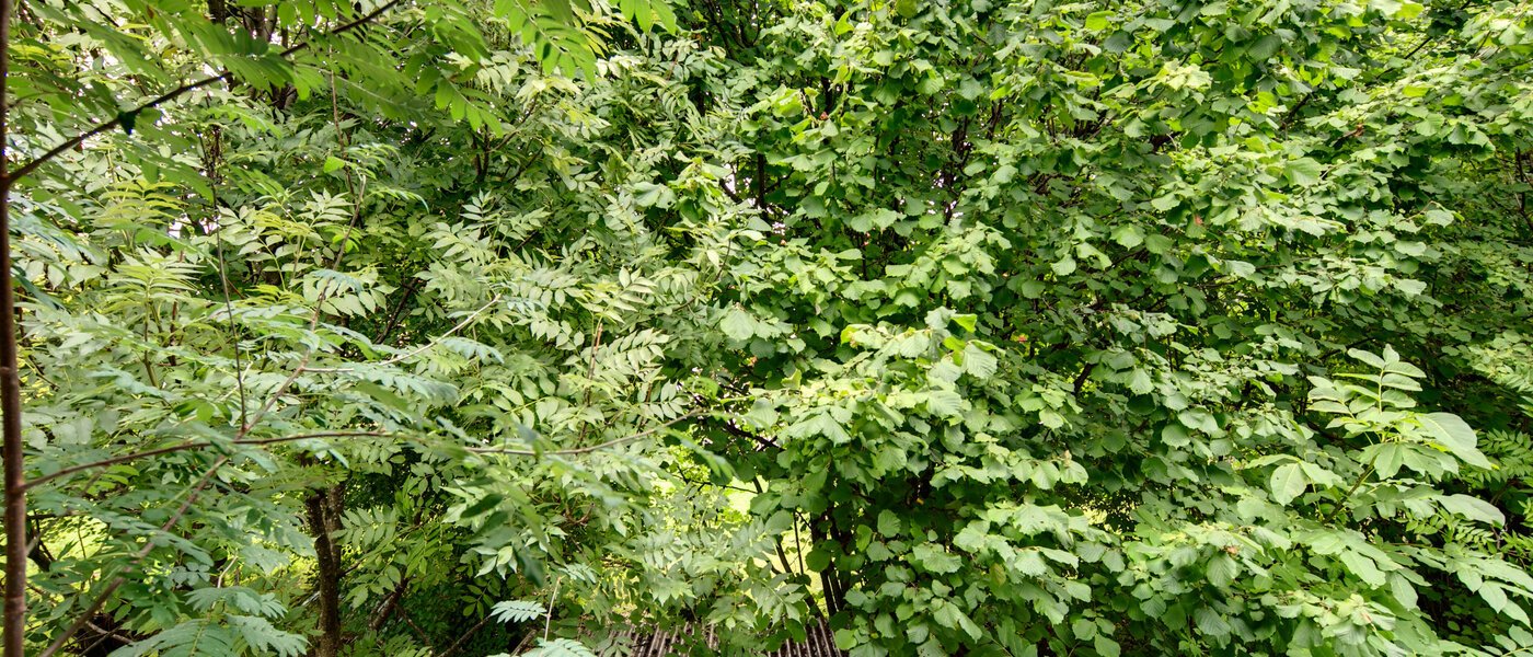 apartamento München Großhadern 04 vista 2051