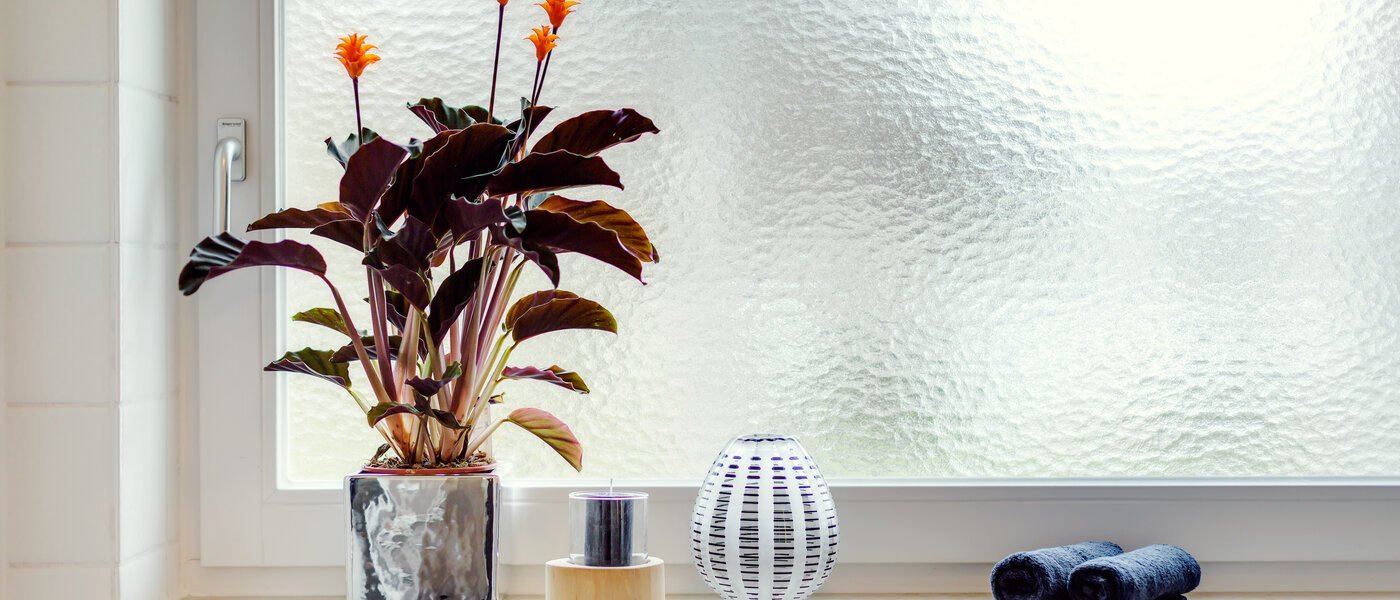 apartamento München Solln 02 baño 227