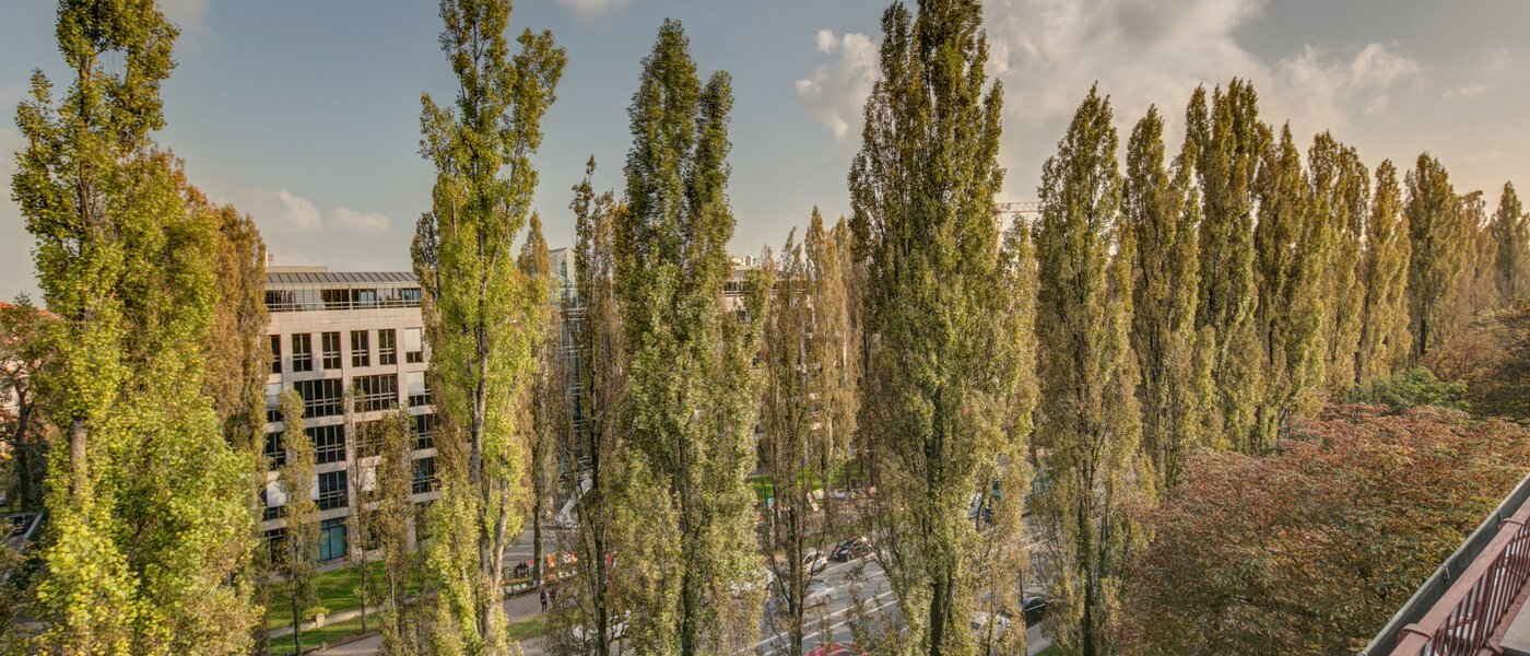 apartamento München Schwabing (rechts der Leopoldstraße) 01 vista 2486