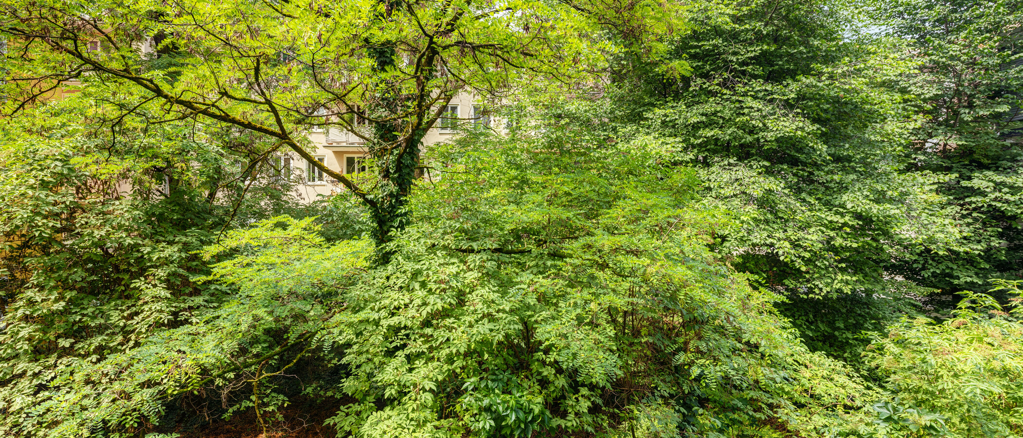 apartamento München Schwabing-West 02 vista 2711