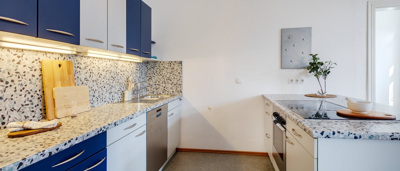 apartamento München Haidhausen 03 cocina 308