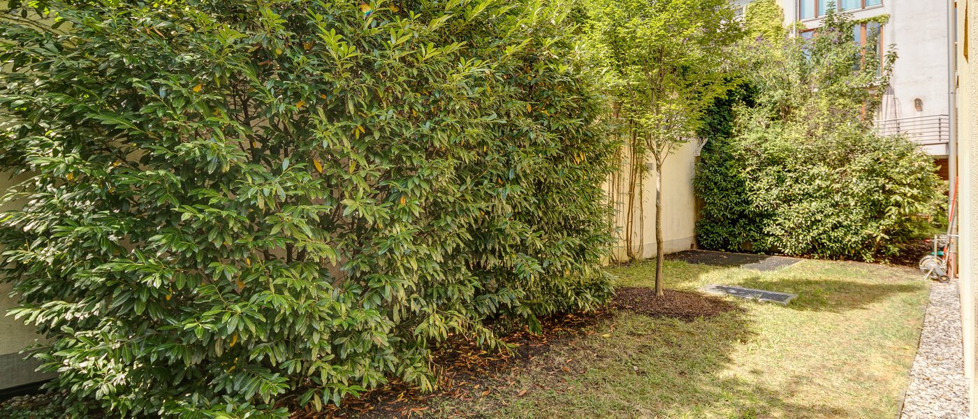 casa pareada München Schwabing (links der Leopoldstraße) 02 jardín 3396