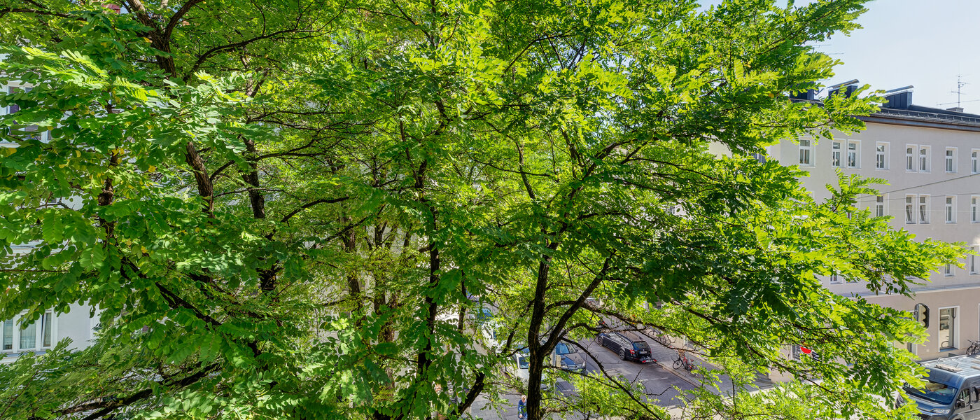 apartamento München Maxvorstadt - Universitätsviertel 01 vista 3592