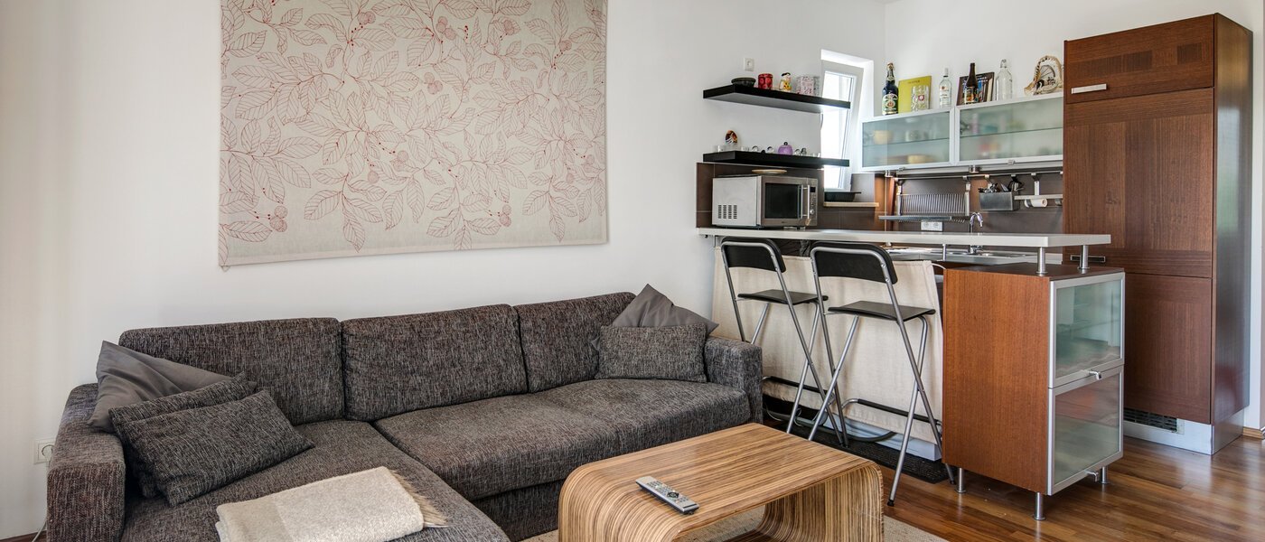 apartamento München Hadern 01 sala de estar 3824