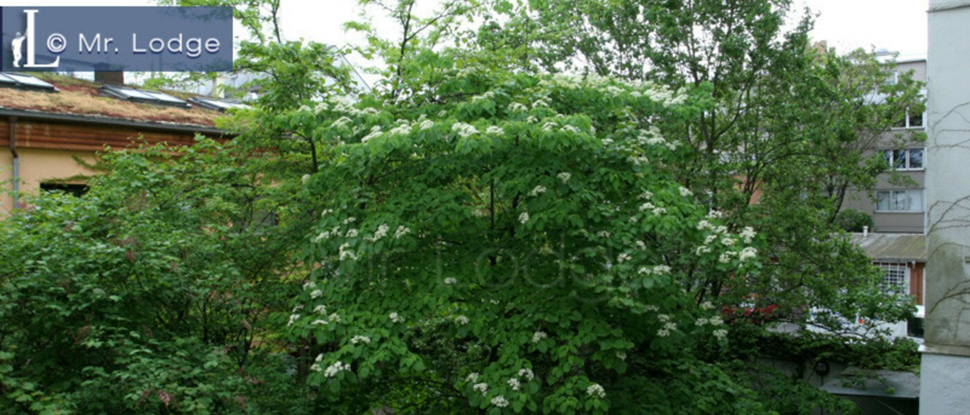 apartamento München Maxvorstadt - Museumsviertel 05 vista 3843