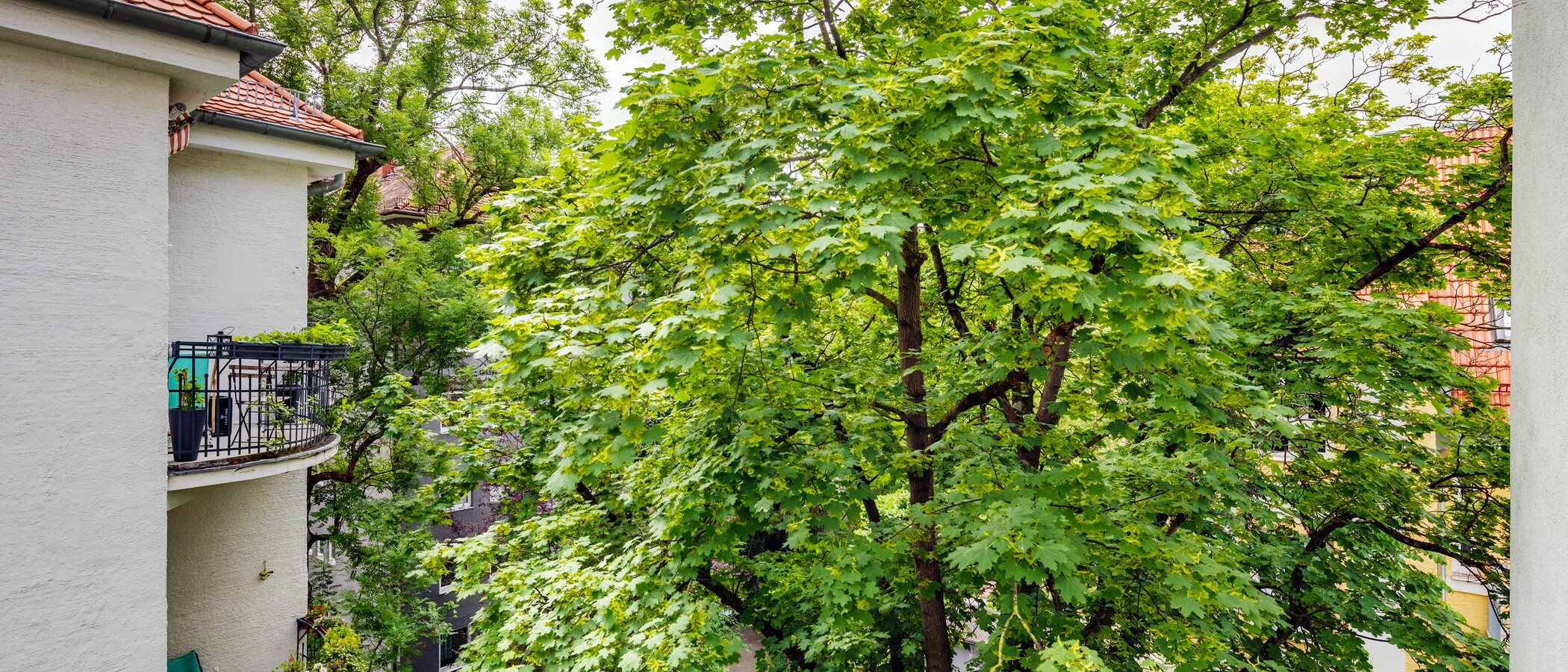 apartamento München Schwabing-West (rund um den Hohenzollernplatz) 02 vista 4086