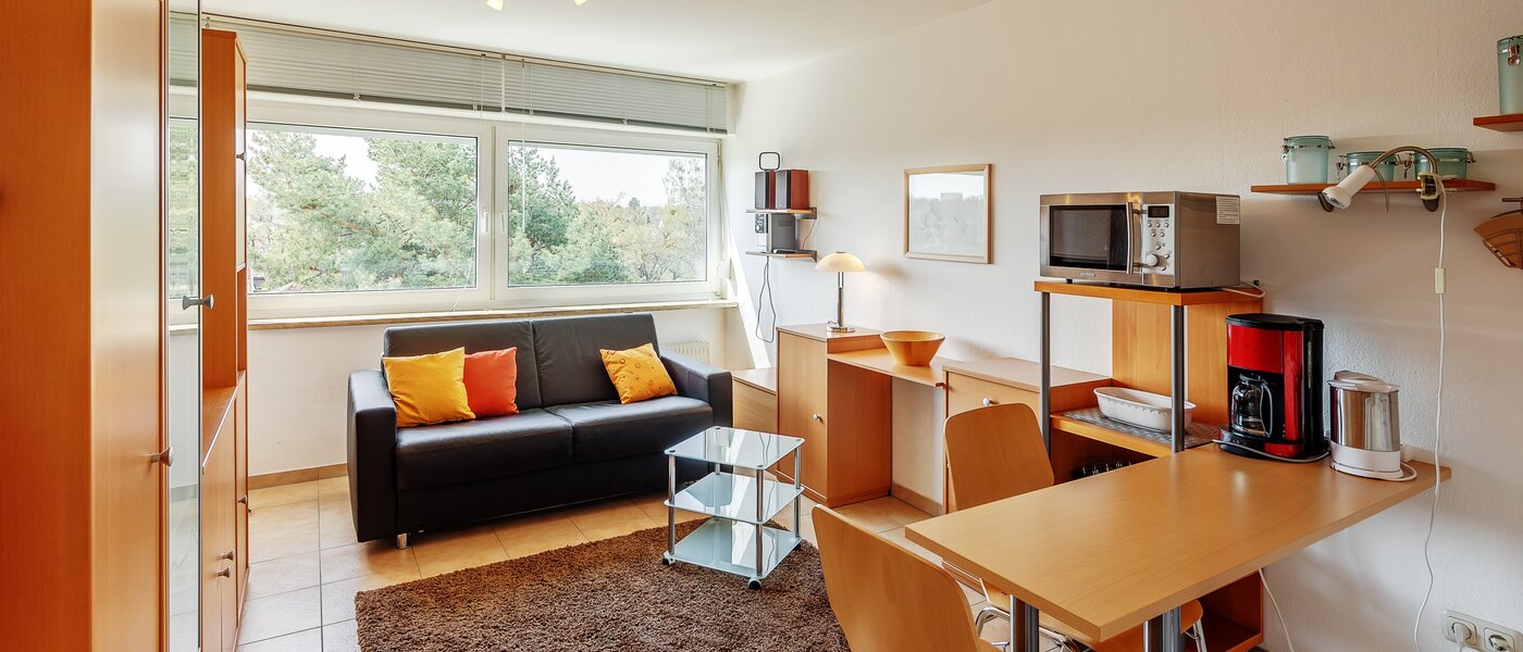 apartamento München Fasanerie 02 zona de día  4411