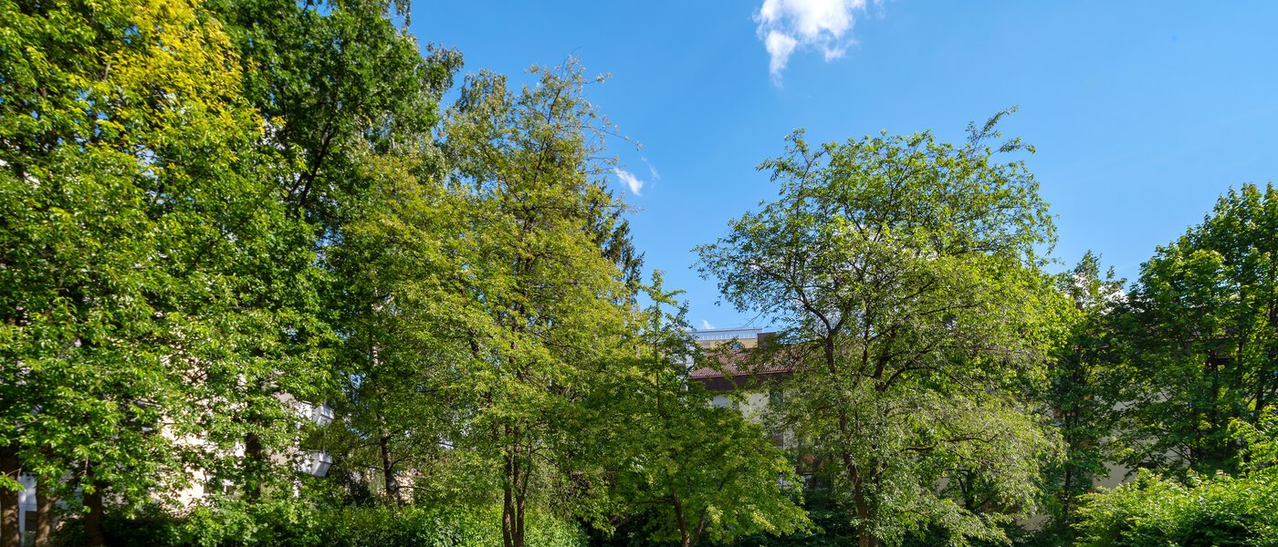 apartamento München Sendling-Westpark 03 patio  4419