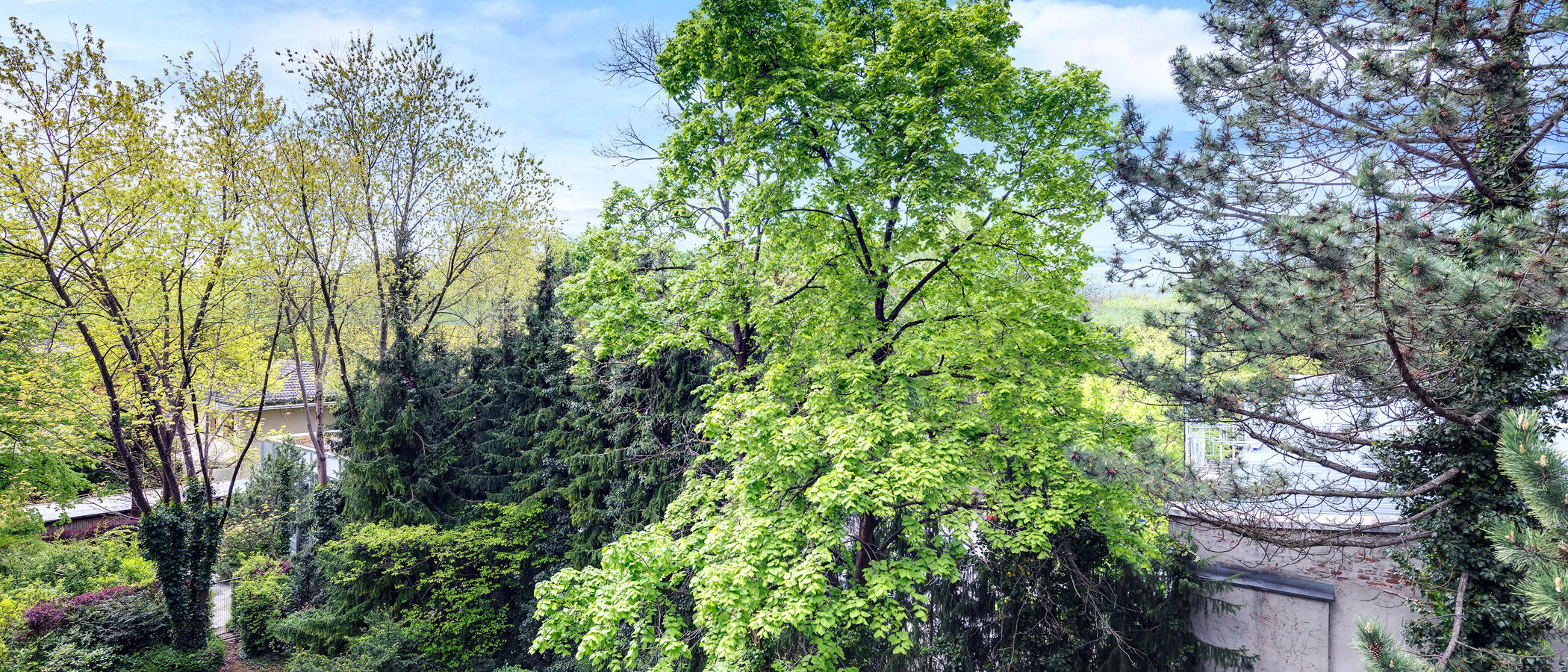 apartamento München Schwabing-Nord (zw. Leopoldstraße & Englischen Garten) 01 vista 4452
