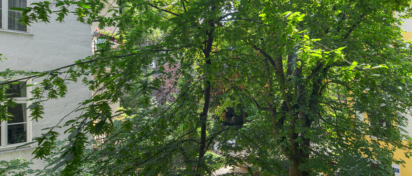 apartamento München Schwabing-West (rund um den Hohenzollernplatz) 02 vista 4507