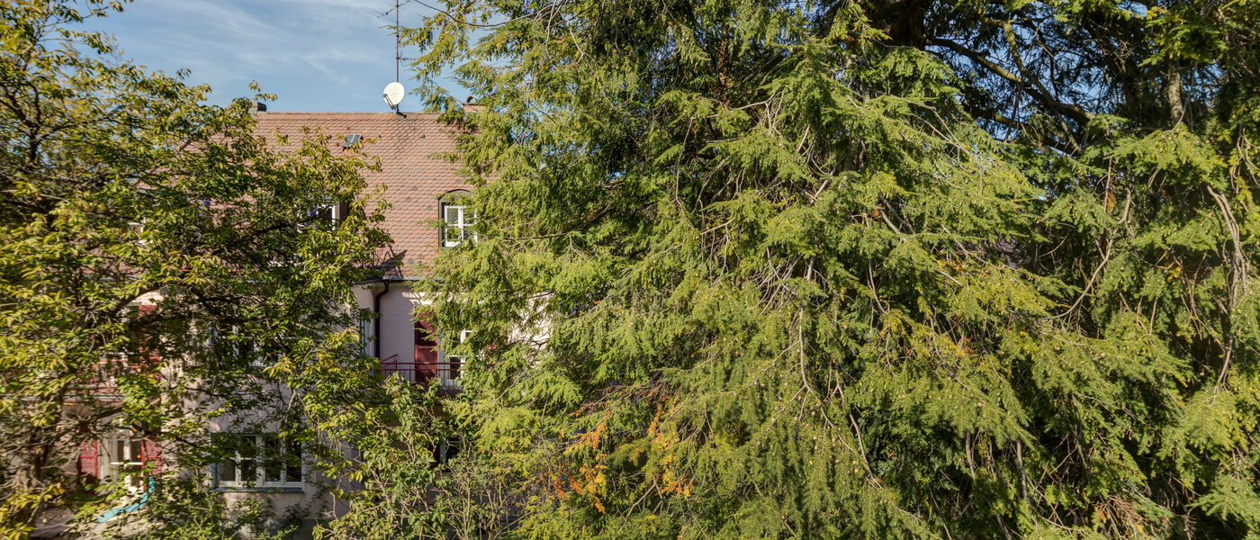 apartamento München Nymphenburg-Gern 02 vista 4670