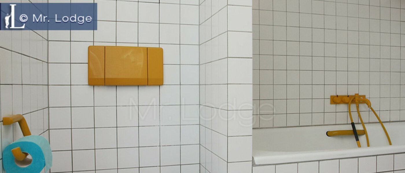 ático München Maxvorstadt - Rund um den Josephplatz 03 baño 4768