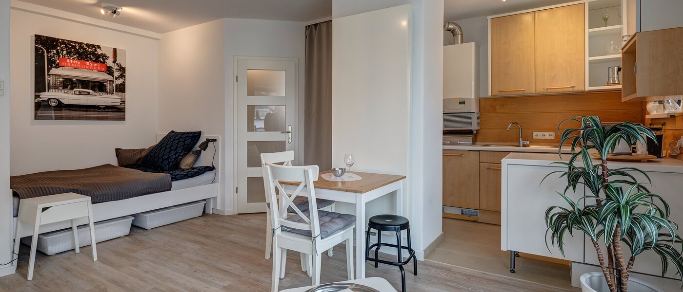 apartamento München Glockenbachviertel 05 salón 4880