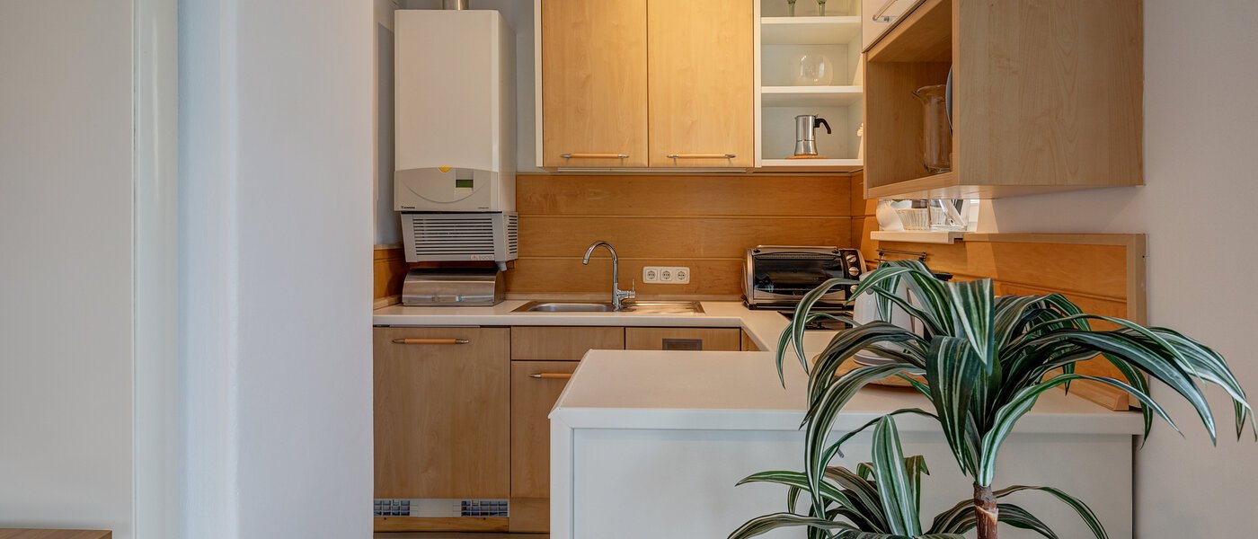 apartamento München Glockenbachviertel 04 cocina 4880