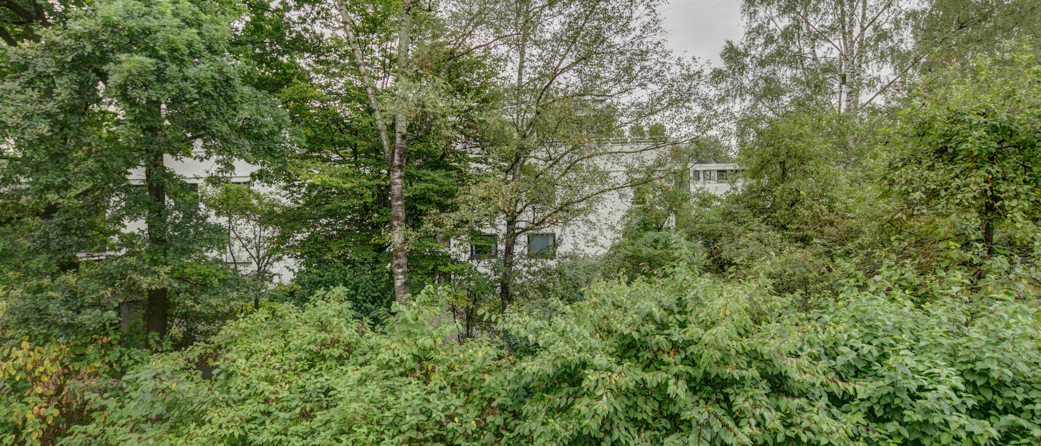 apartamento München Schwabing - Alte Heide 03 vista 4893