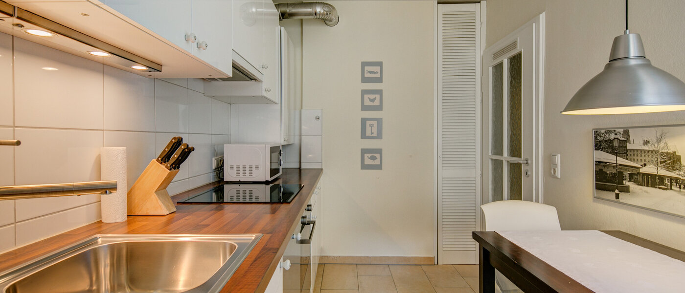 apartamento München Isarvorstadt 04 cocina 5105