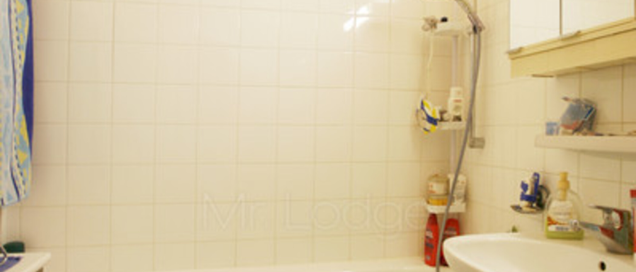 apartamento München Schwabing-Georgenschwaige 01 baño 5164