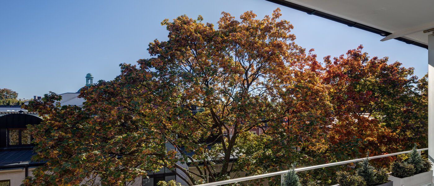 apartamento München Schwabing (links der Leopoldstraße) 02 vista 5263