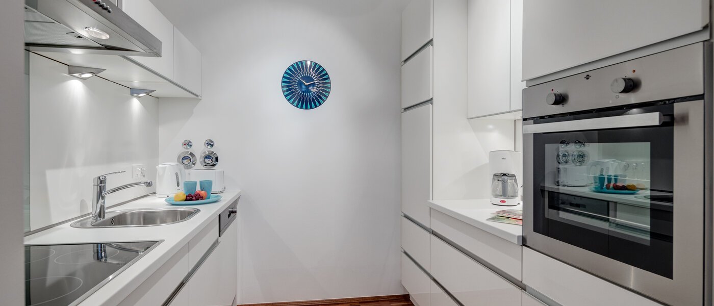 apartamento München Isarvorstadt 01 cocina 5280