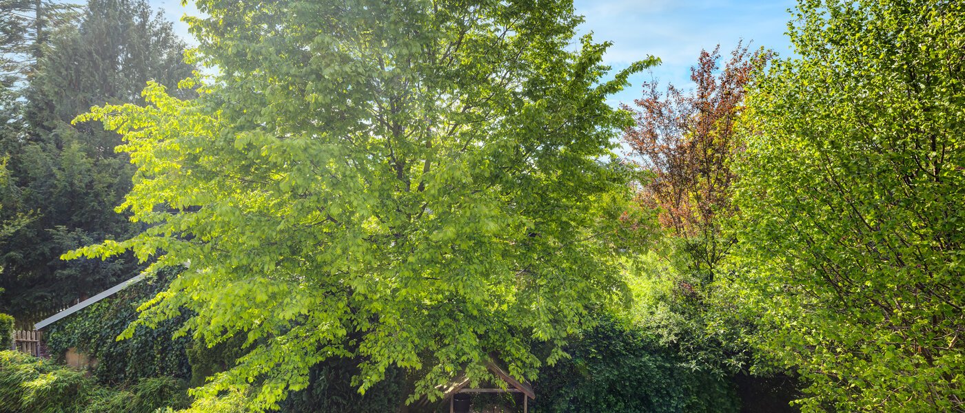 chalet adosado München Westpark 02 vista 5296