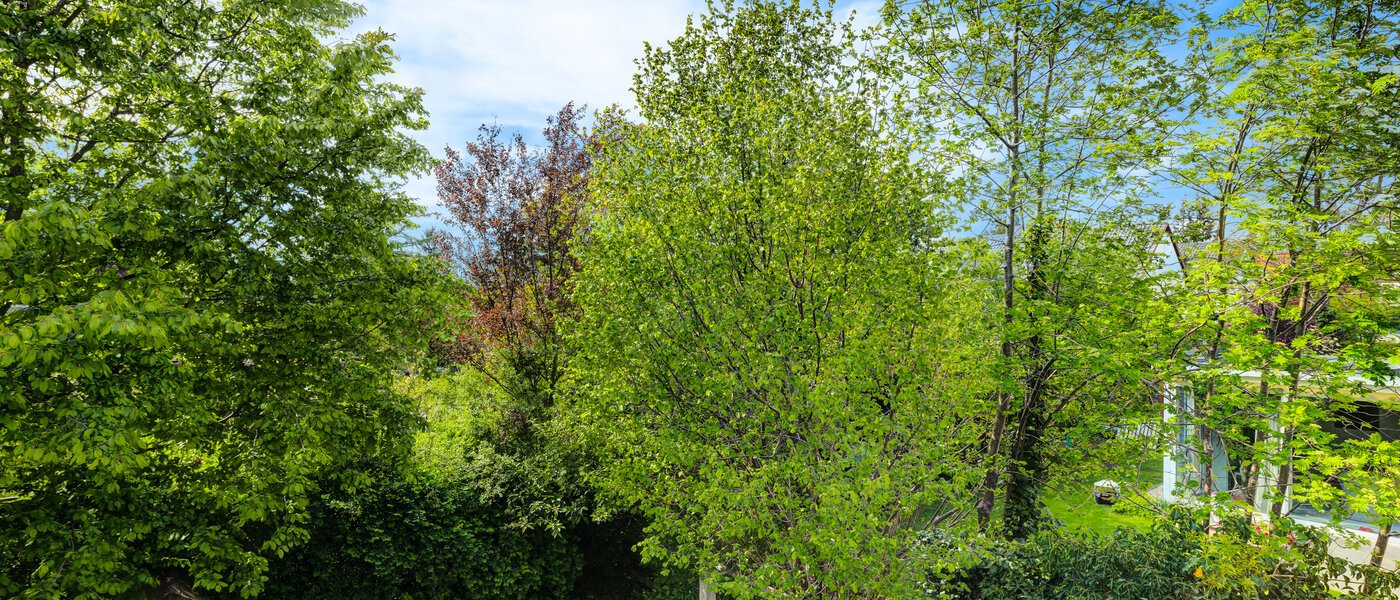 chalet adosado München Westpark 03 vista 5296