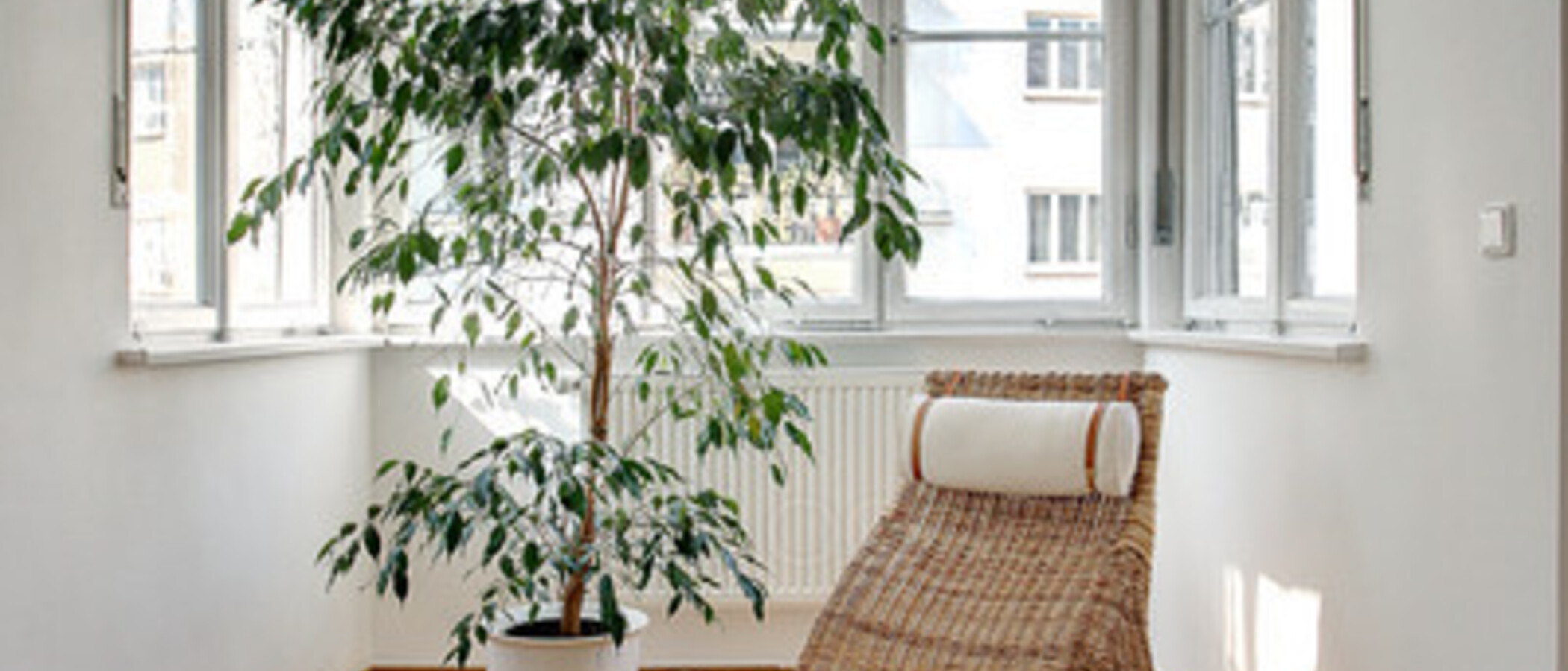 apartamento München Altbogenhausen 09 salón 5506