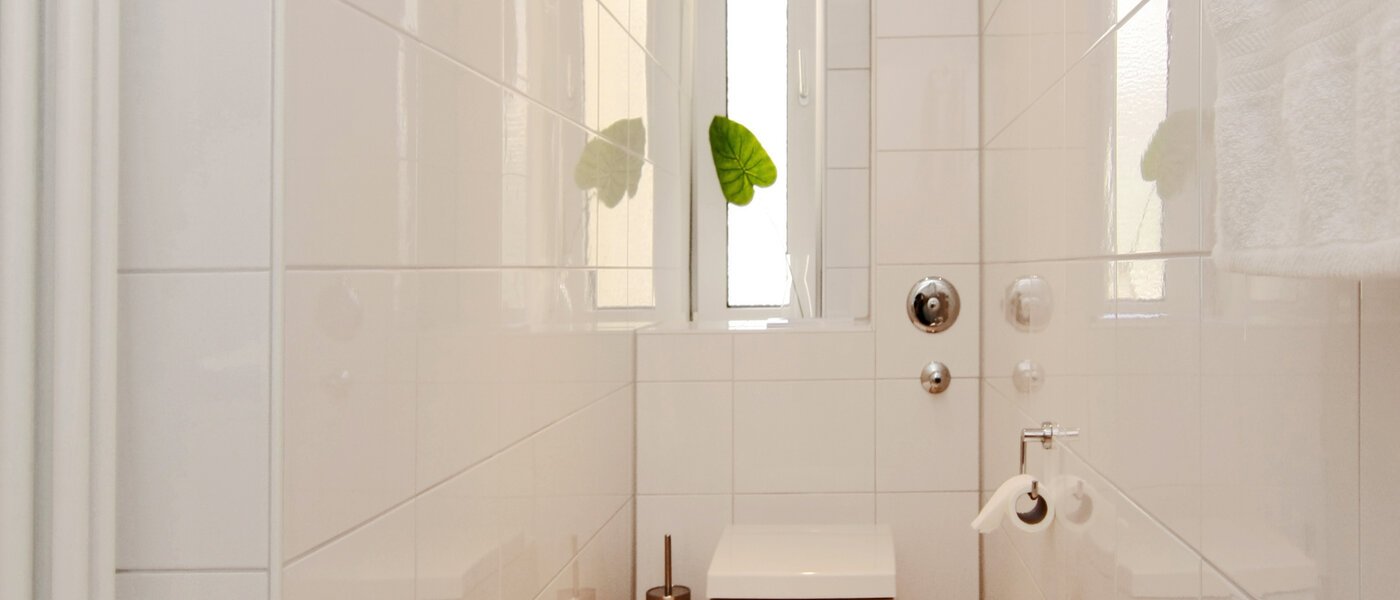 apartamento München Isarvorstadt 03 baño 5542