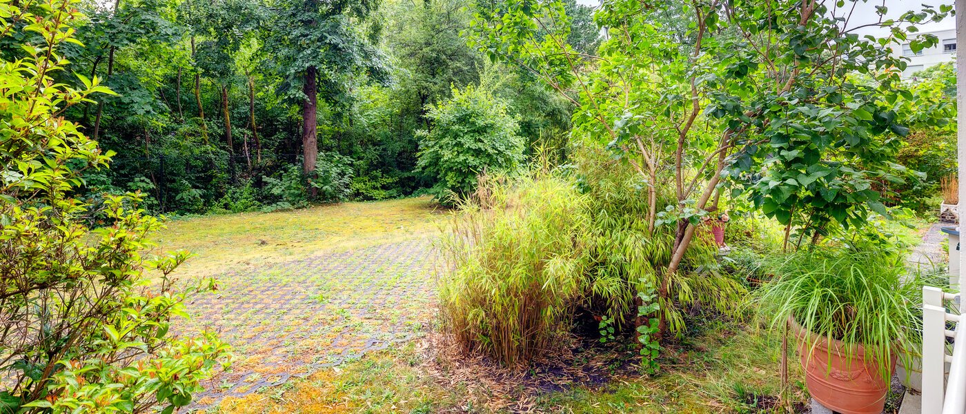 apartamento München Schwabing-Nord (zw. Belgrad- & Leopoldstraße) 02 vista 565