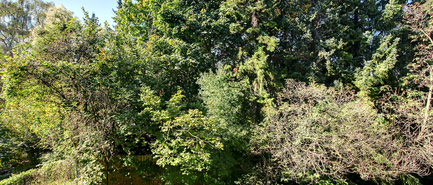 apartamento München Schwabing 01 vista 5794