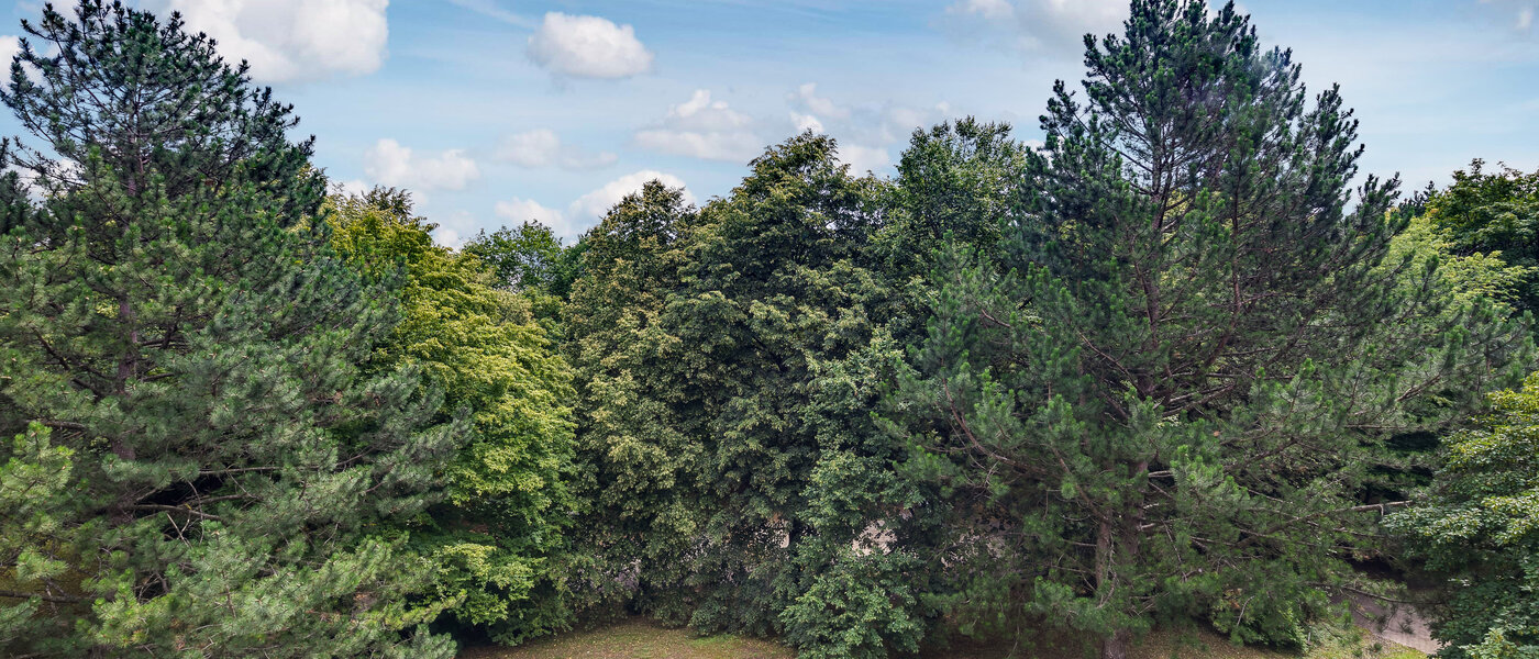 apartamento München Moosach 01 vista 5951