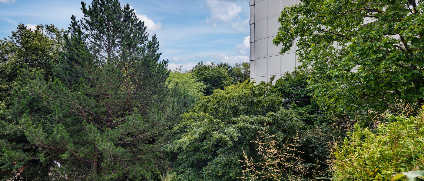 apartamento München Moosach 03 vista 5951