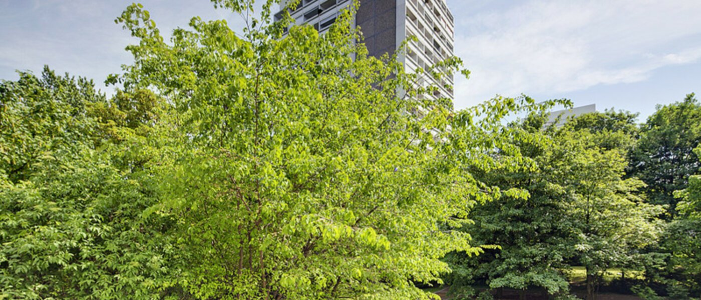 apartamento München Arabellapark 01 vista 6126