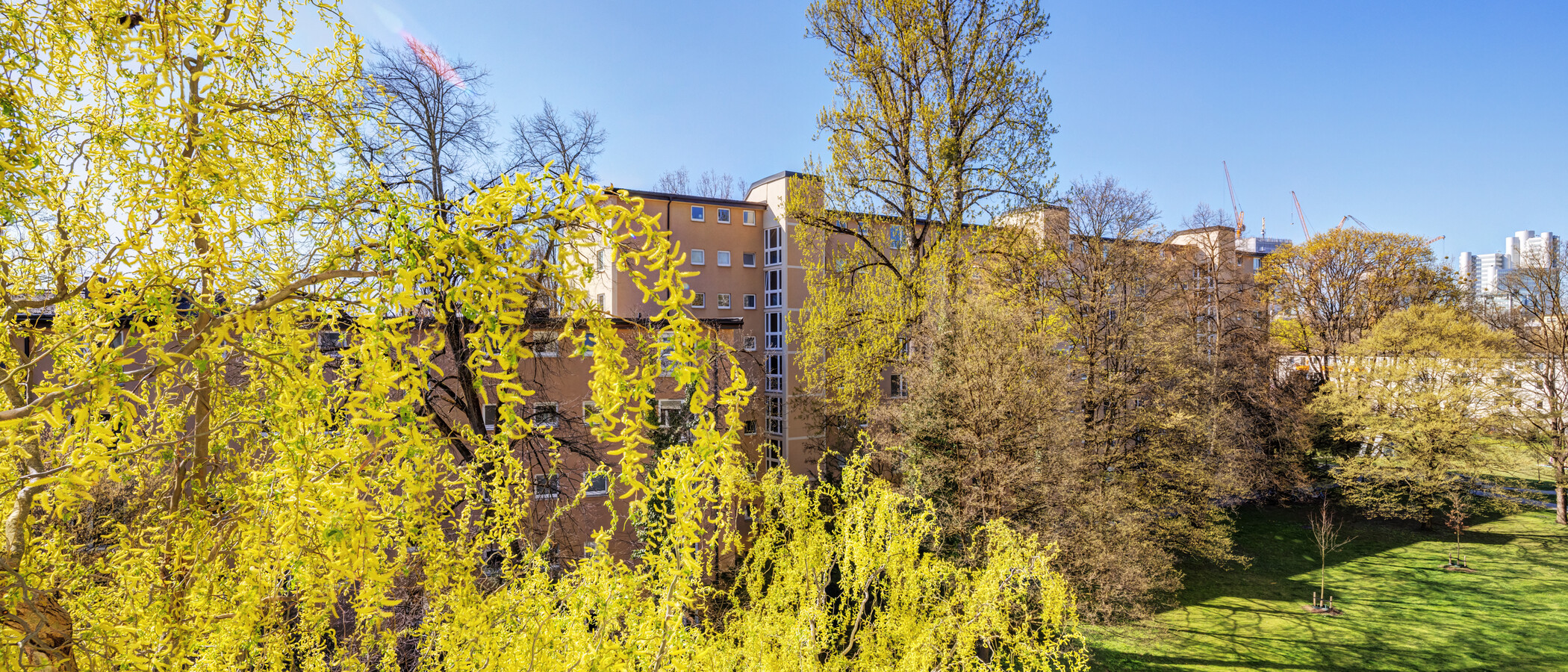 apartamento München Bogenhausen 01 vista 6213