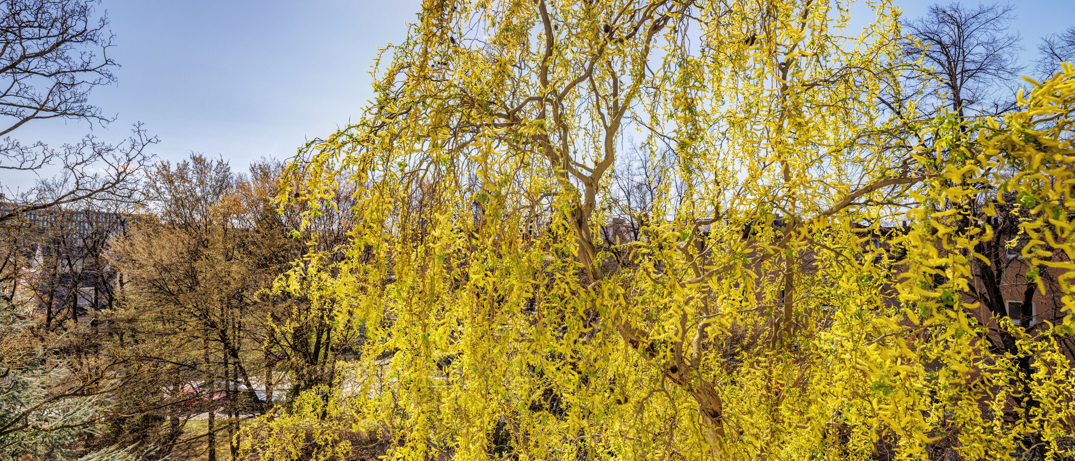 apartamento München Bogenhausen 03 vista 6213