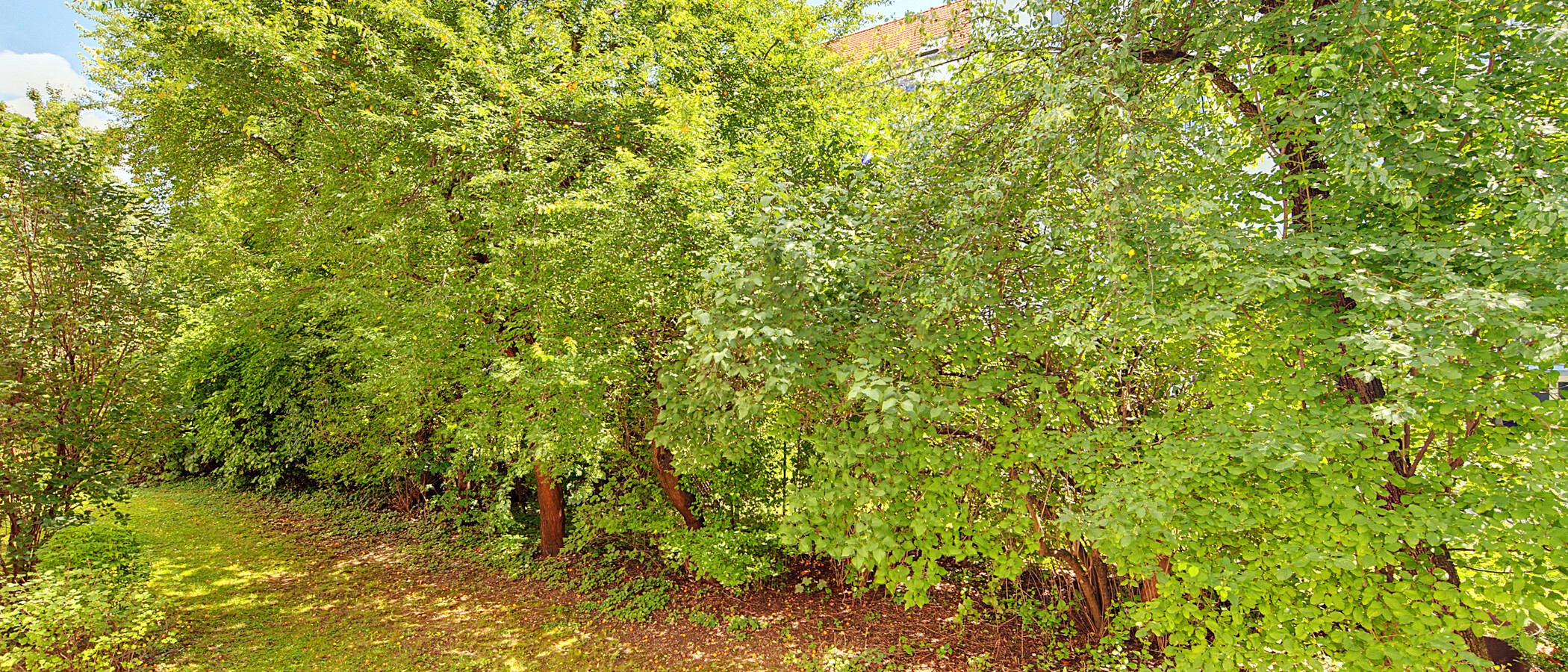 apartamento München Schwabing - Alte Heide 01 vista 6261