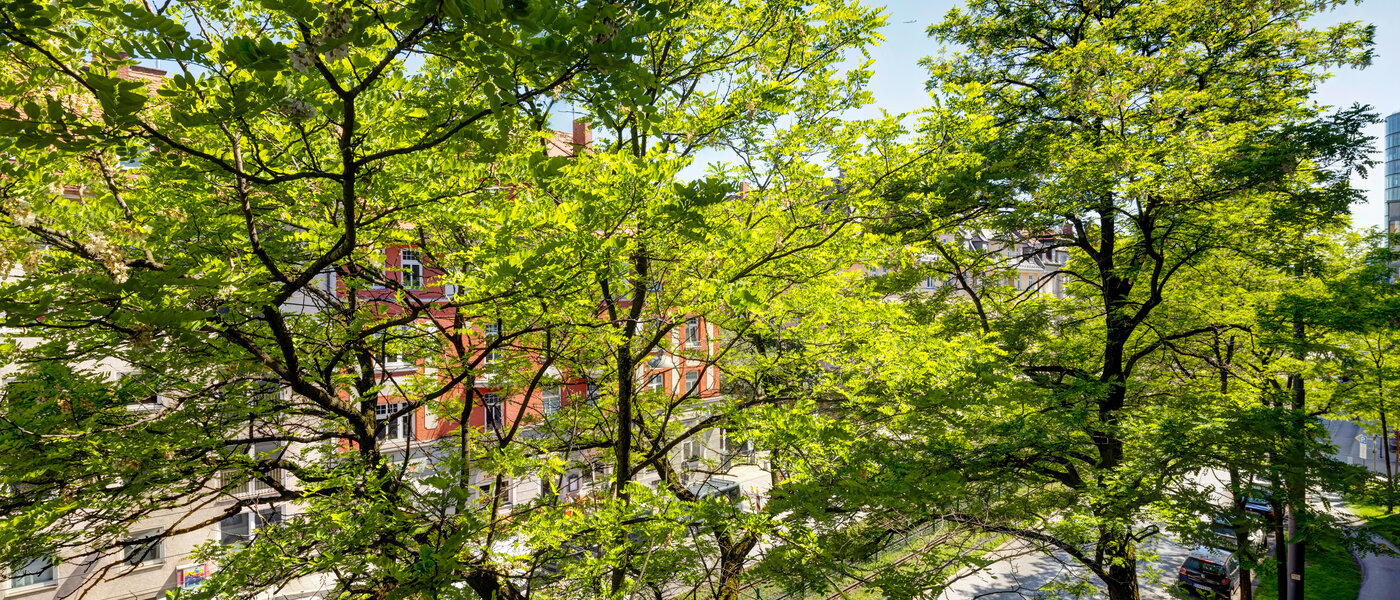 apartamento München Neuhausen 01 vista 6444