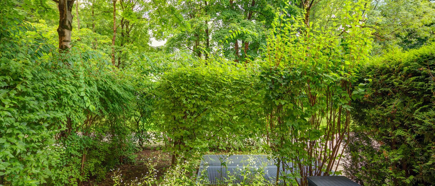 apartamento München Haidhausen 01 vista 6448