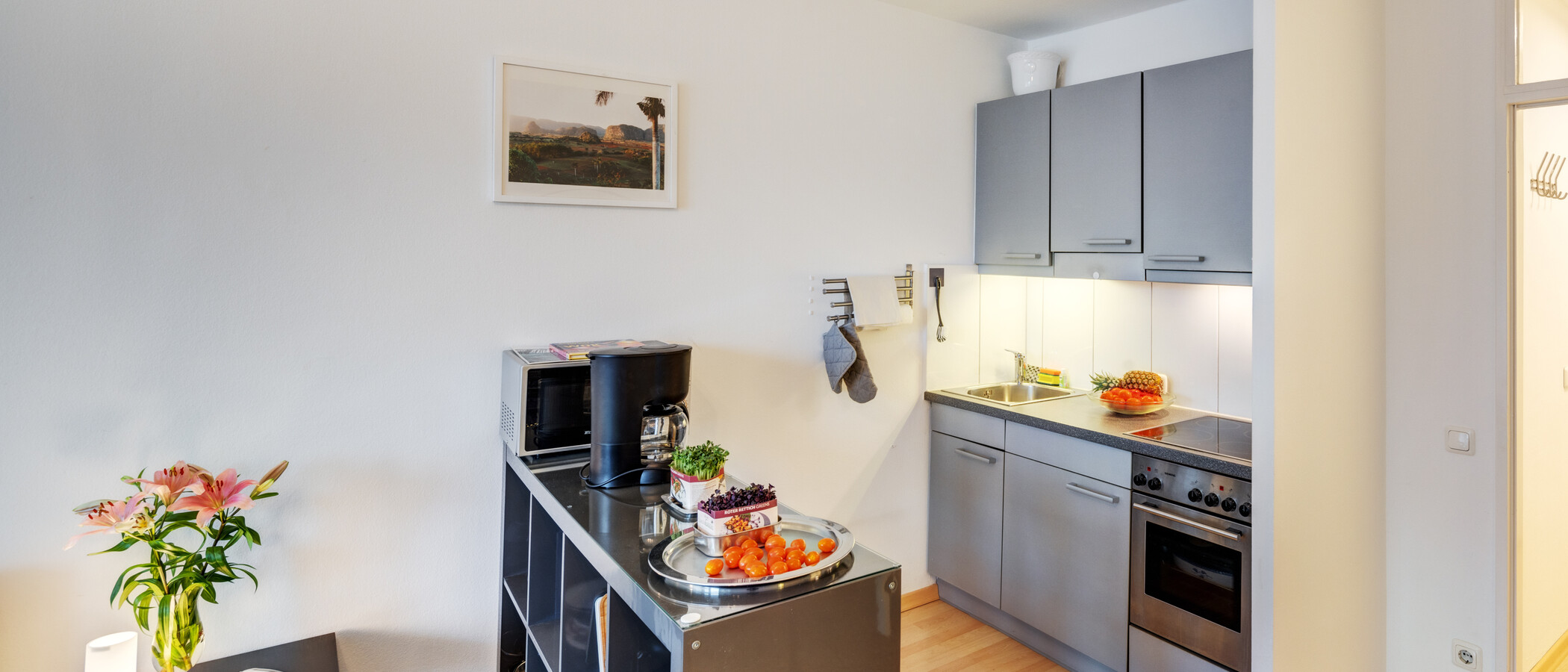 apartamento München Schwabing-West 01 cocina 6455