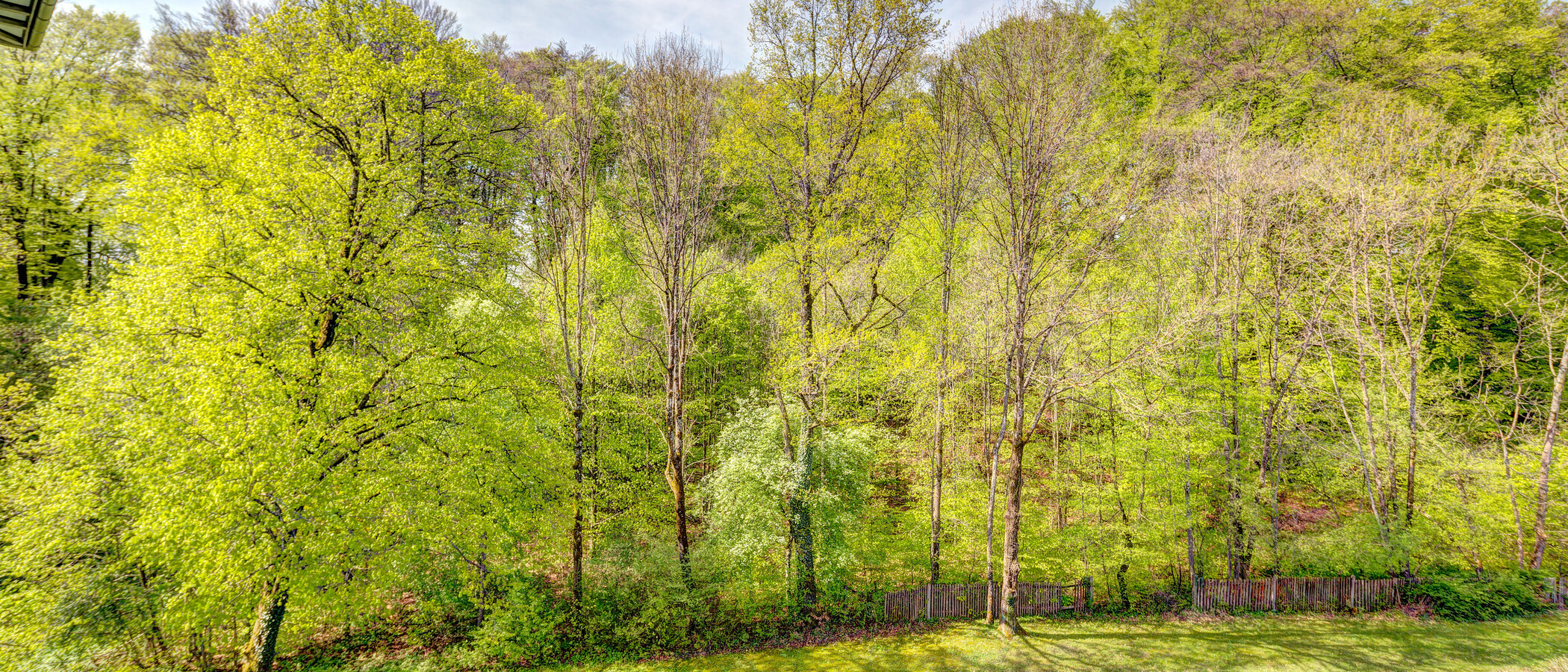 apartamento Starnberg 01 vista 6634