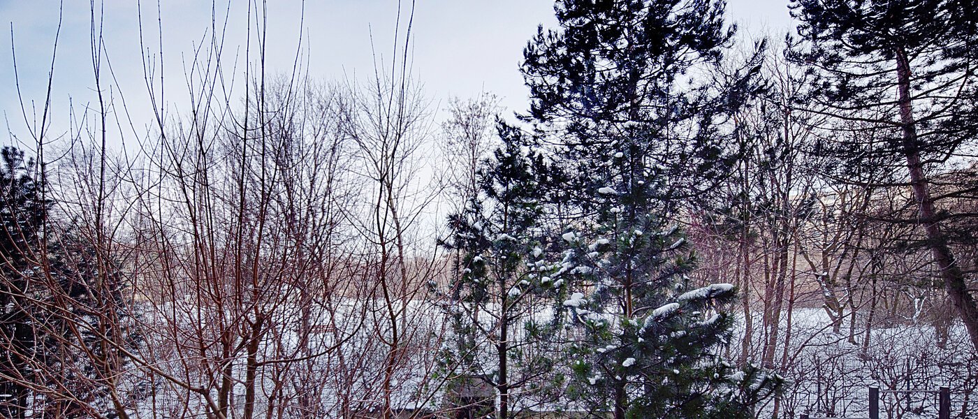 apartamento München Haidhausen 02 vista 6637