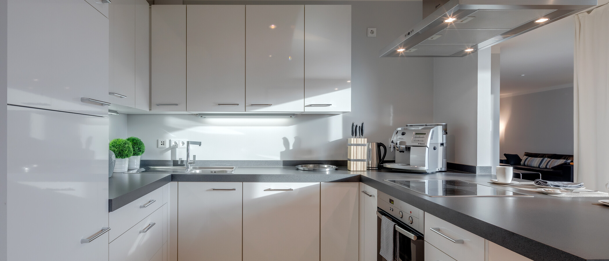 apartamento München Maxvorstadt 01 cocina 6679