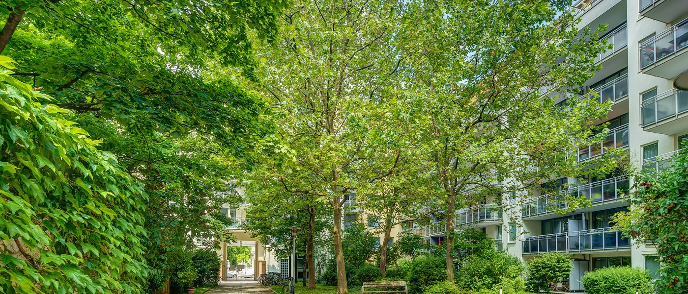 apartamento München Maxvorstadt 03 patio  6791